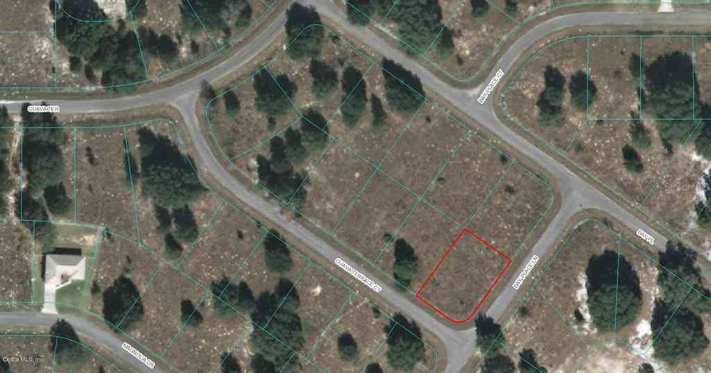 00 Guava Terrace Court, OCKLAWAHA, Florida image 1