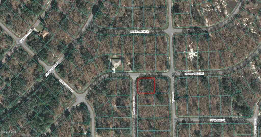 00 Guava Pass Course, OCKLAWAHA, Florida image 1