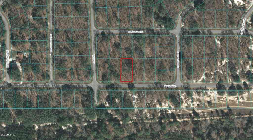 00 Guava Pass, OCKLAWAHA, Florida image 1