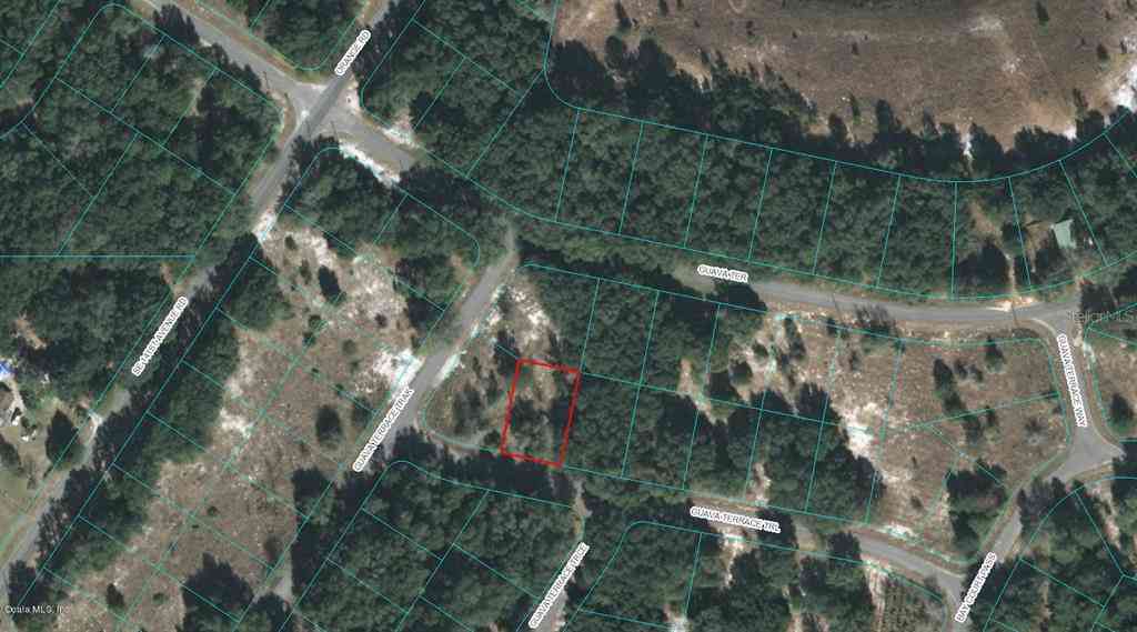 00 Guava Terrace Trail, OCKLAWAHA, Florida image 1