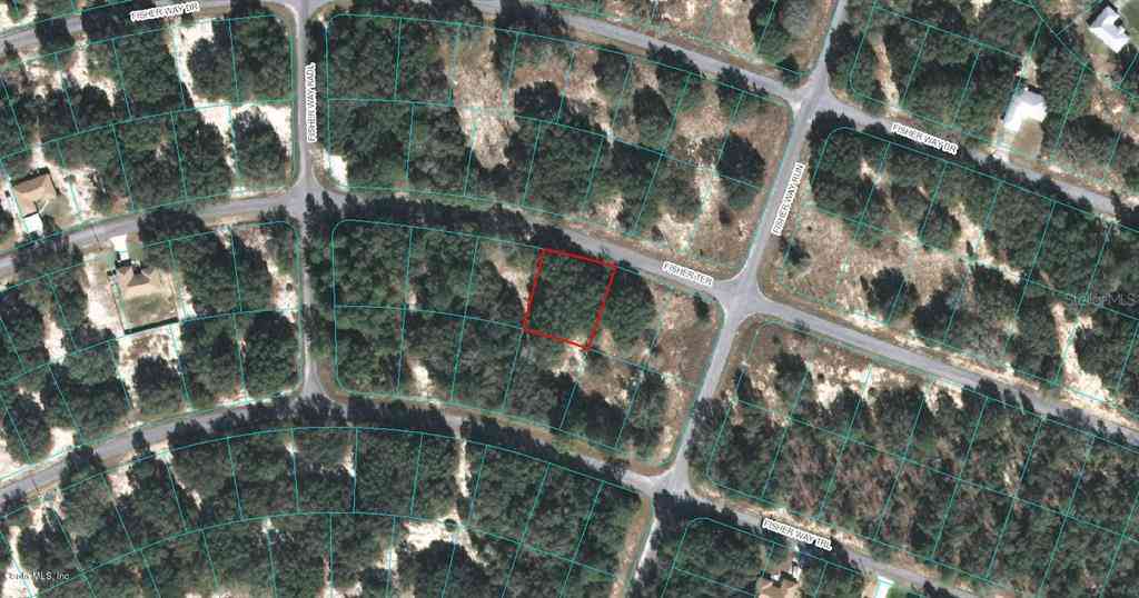 00 Fisher Terrace, OCKLAWAHA, Florida image 1
