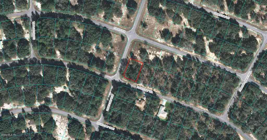 00 Fisher Way Trail, OCKLAWAHA, Florida image 1