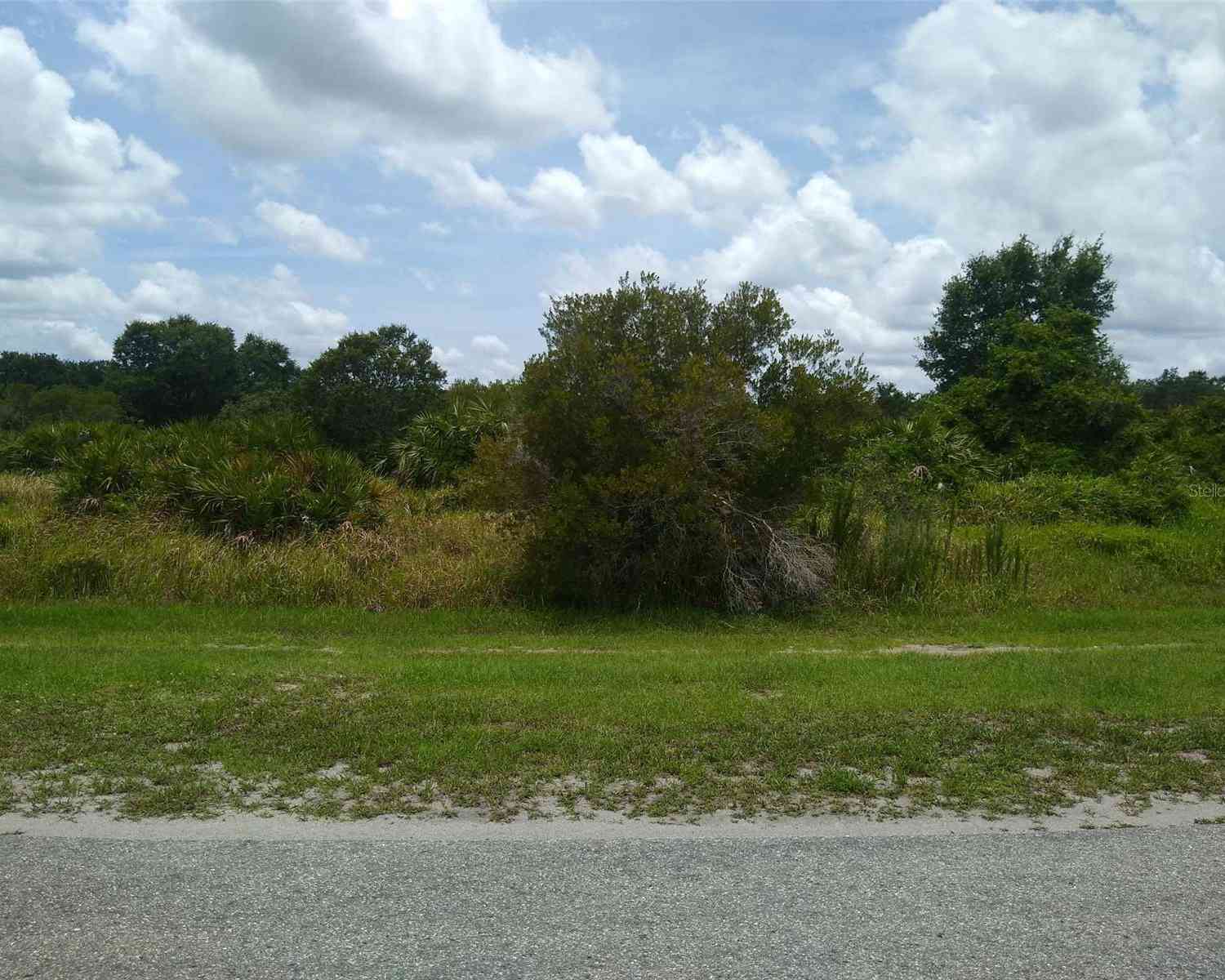 411th Street, MYAKKA CITY, Florida image 3