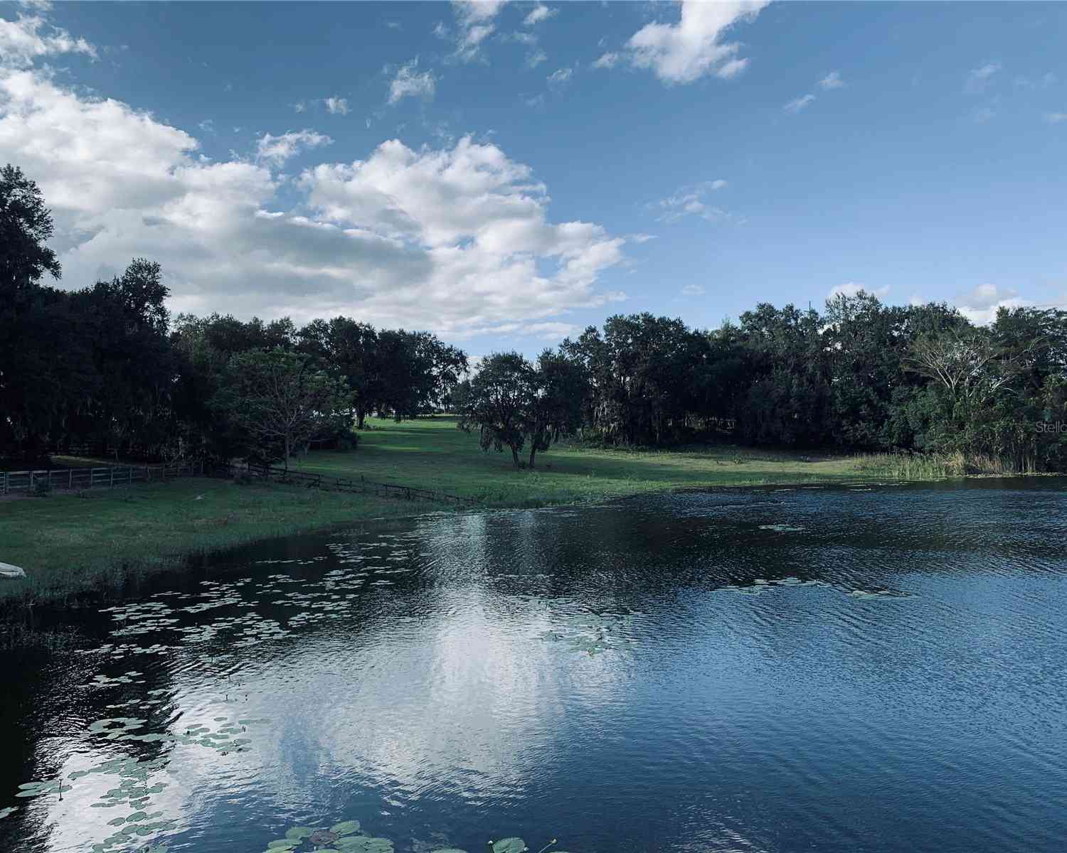 TBD Lake Burns Road, Umatilla, Florida image 2