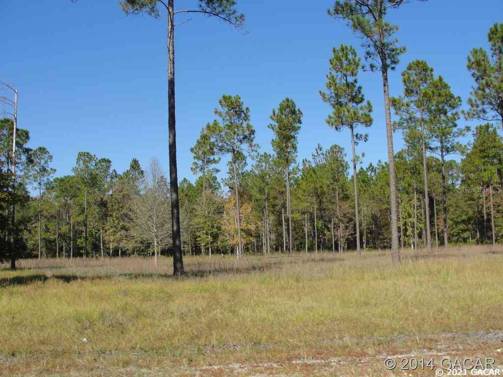 TBD SE 64th Lot#15 Street, LAKE BUTLER, Florida image 3