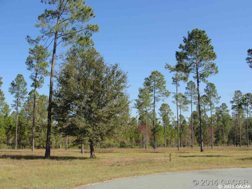 TBD SE 64th Lot#15 Street, LAKE BUTLER, Florida image 6