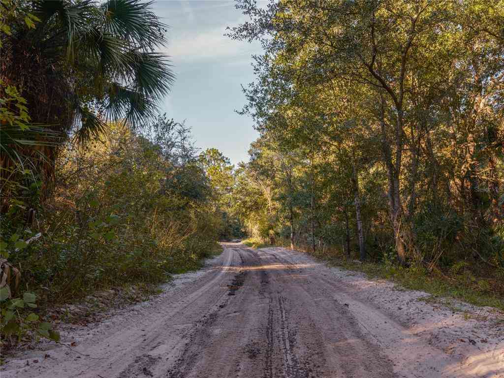 No Street (lot 36), OAK HILL, Florida image 11