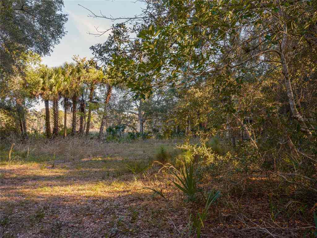 No Street (lot 36), OAK HILL, Florida image 13