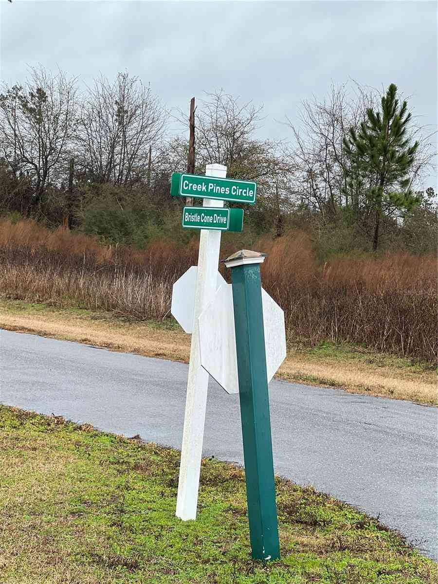 Bristle Cone Dr, WEWAHITCHKA, Florida image 4