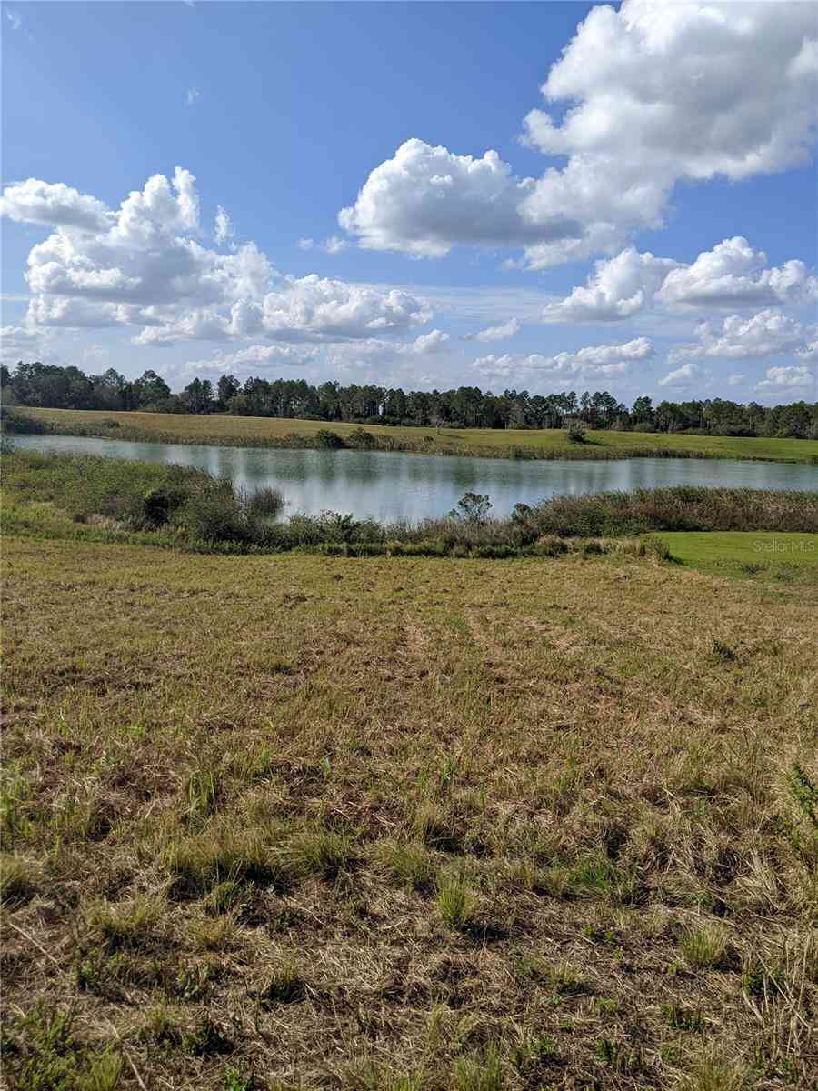 10249 Hwy 555, FORT MEADE, Florida image 8