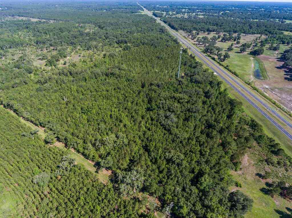 N Us Highway 27, REDDICK, Florida image 5