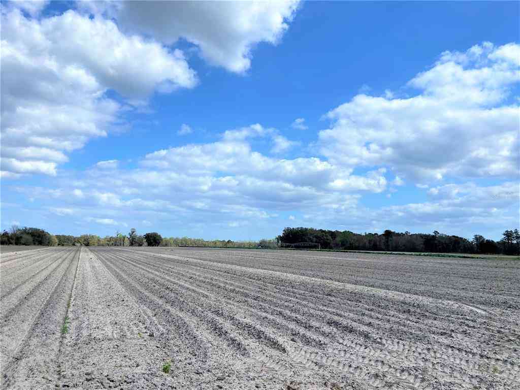 24103 NW County Road 239, ALACHUA, Florida image 12