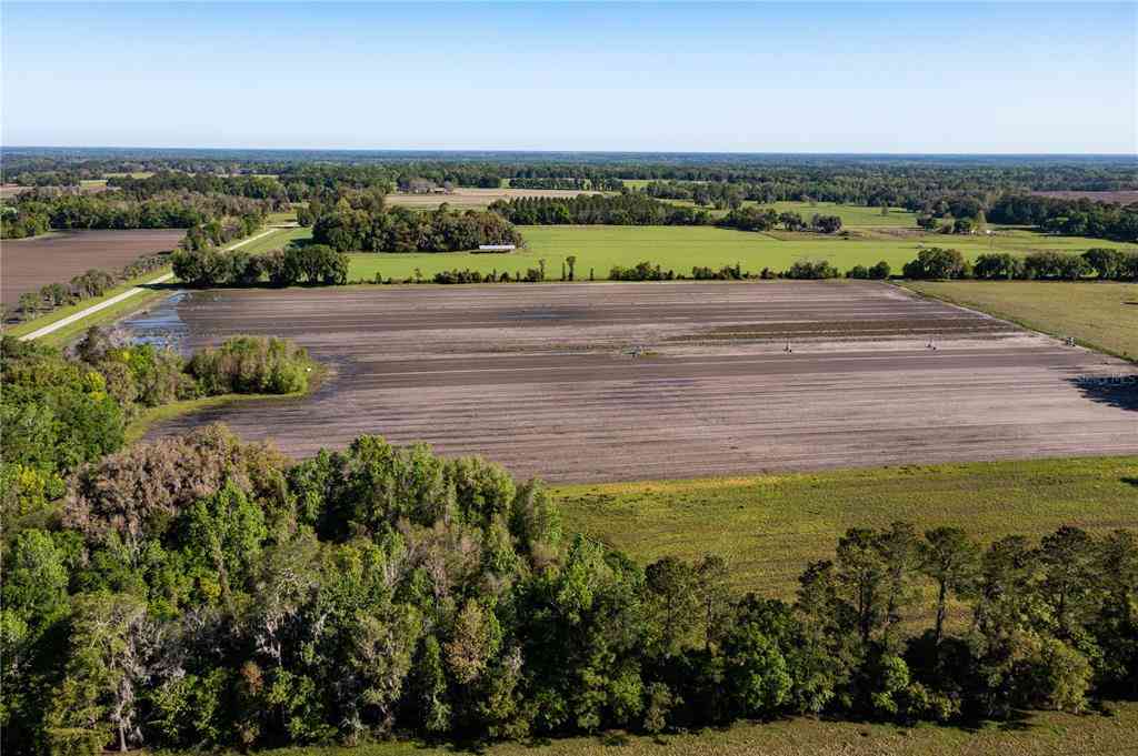 24103 NW County Road 239, ALACHUA, Florida image 3