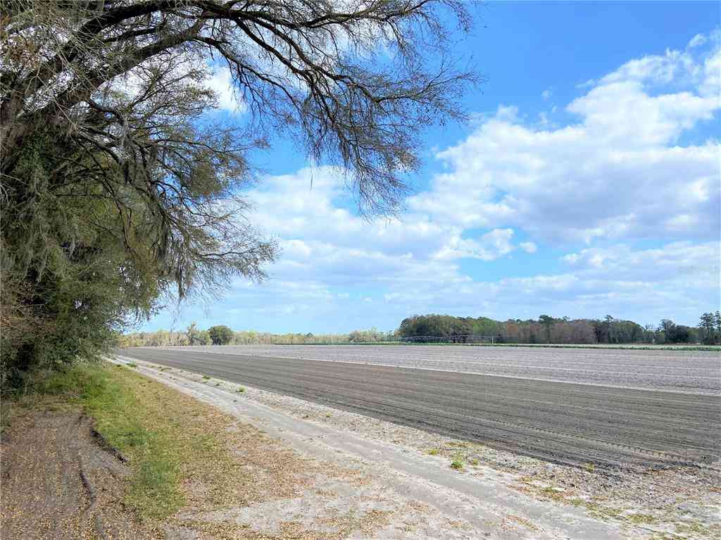 24103 NW County Road 239, ALACHUA, Florida image 1