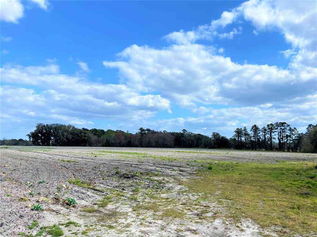 24103 NW County Road 239, ALACHUA, Florida image 6