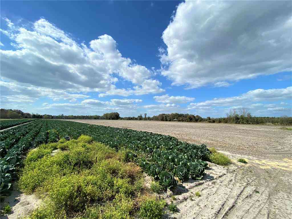 24103 NW County Road 239, ALACHUA, Florida image 7