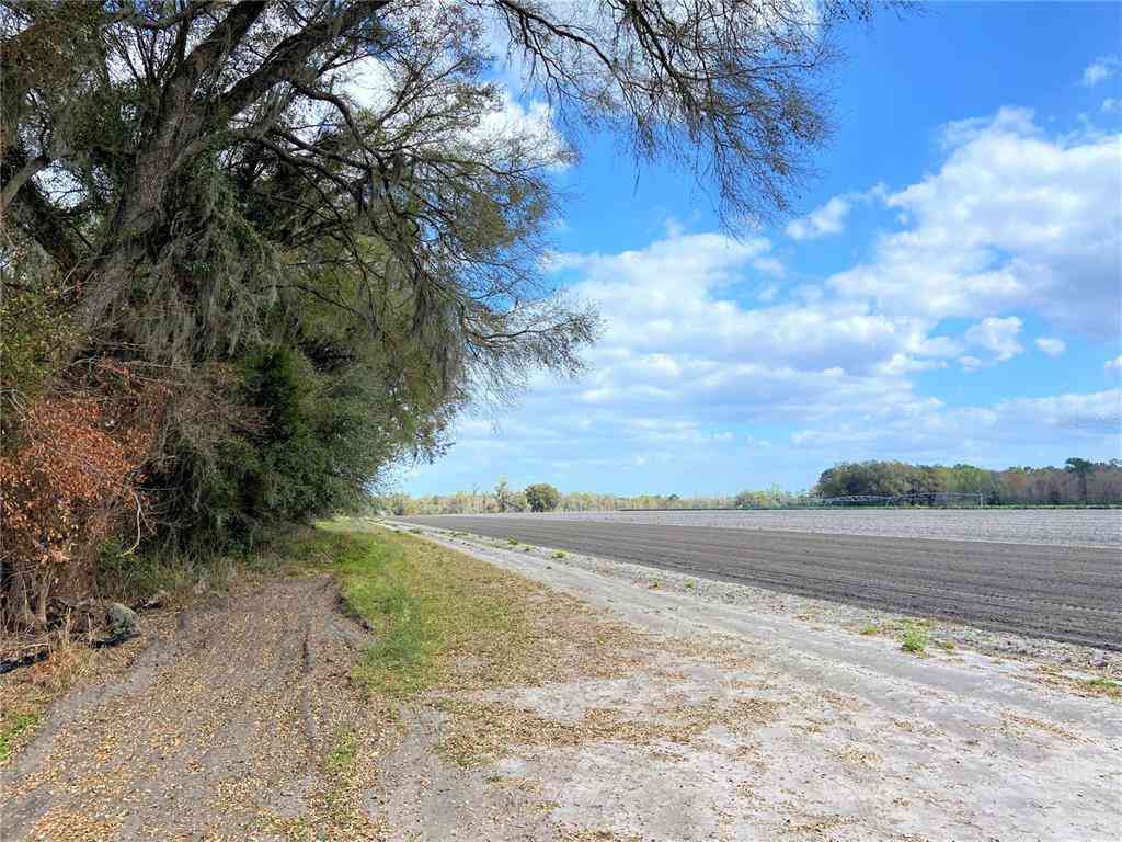 24103 NW County Road 239, ALACHUA, Florida image 14