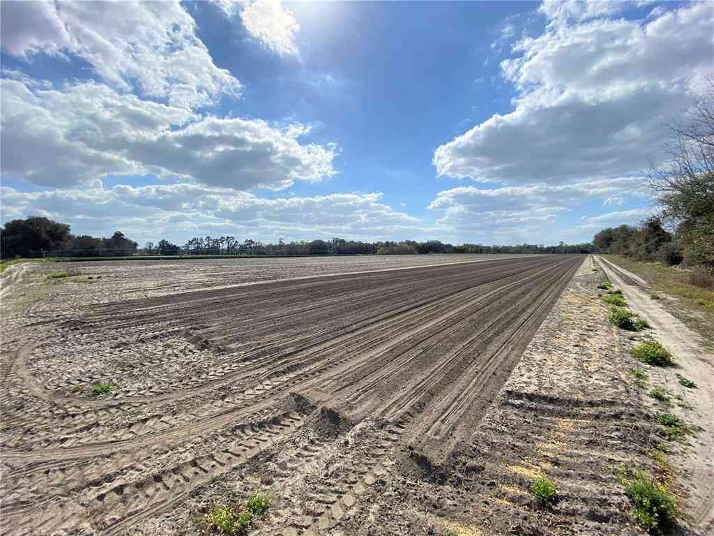 24103 NW County Road 239, ALACHUA, Florida image 9