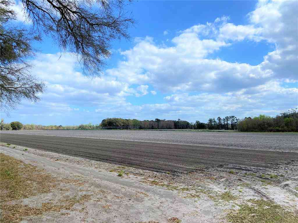 24103 NW County Road 239, ALACHUA, Florida image 5