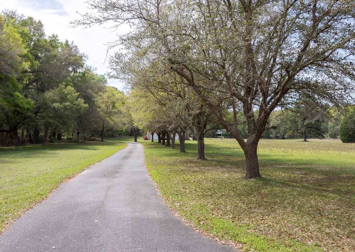 18604 NW 262nd Avenue, ALACHUA, Florida image 5