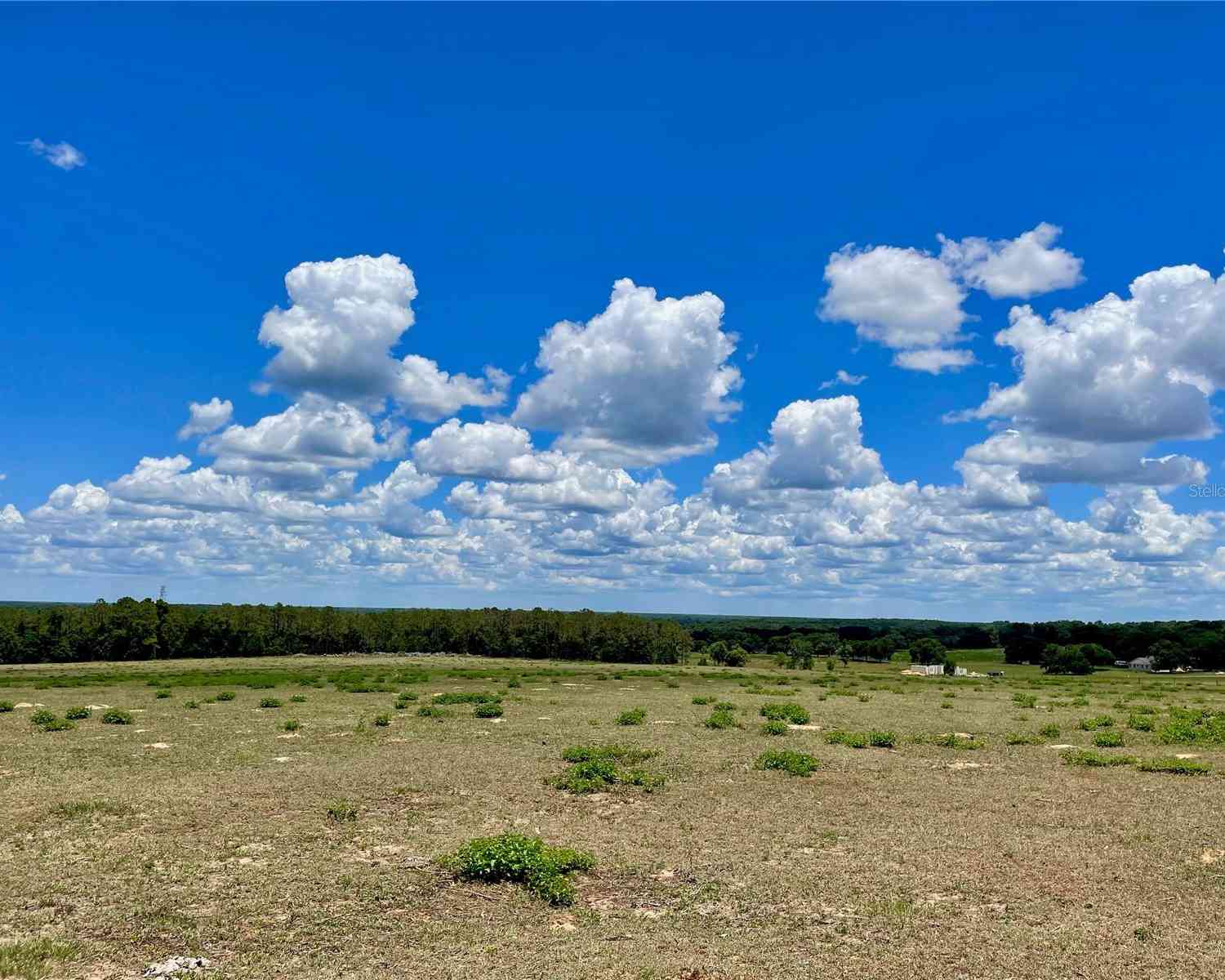 Parrish Grove Road, DADE CITY, Florida image 12