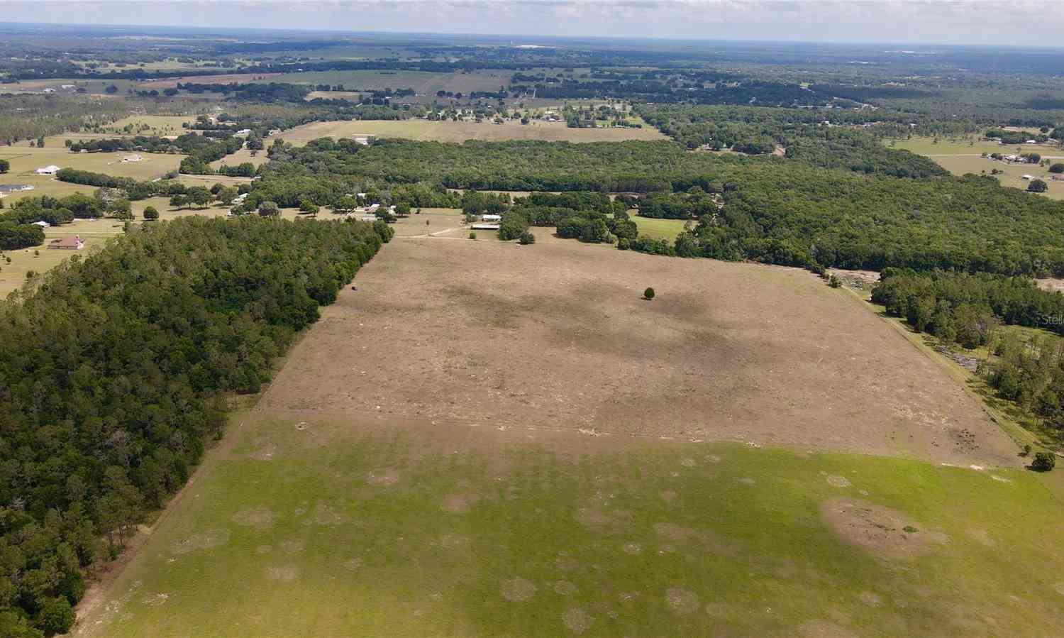 Parrish Grove Road, DADE CITY, Florida image 20