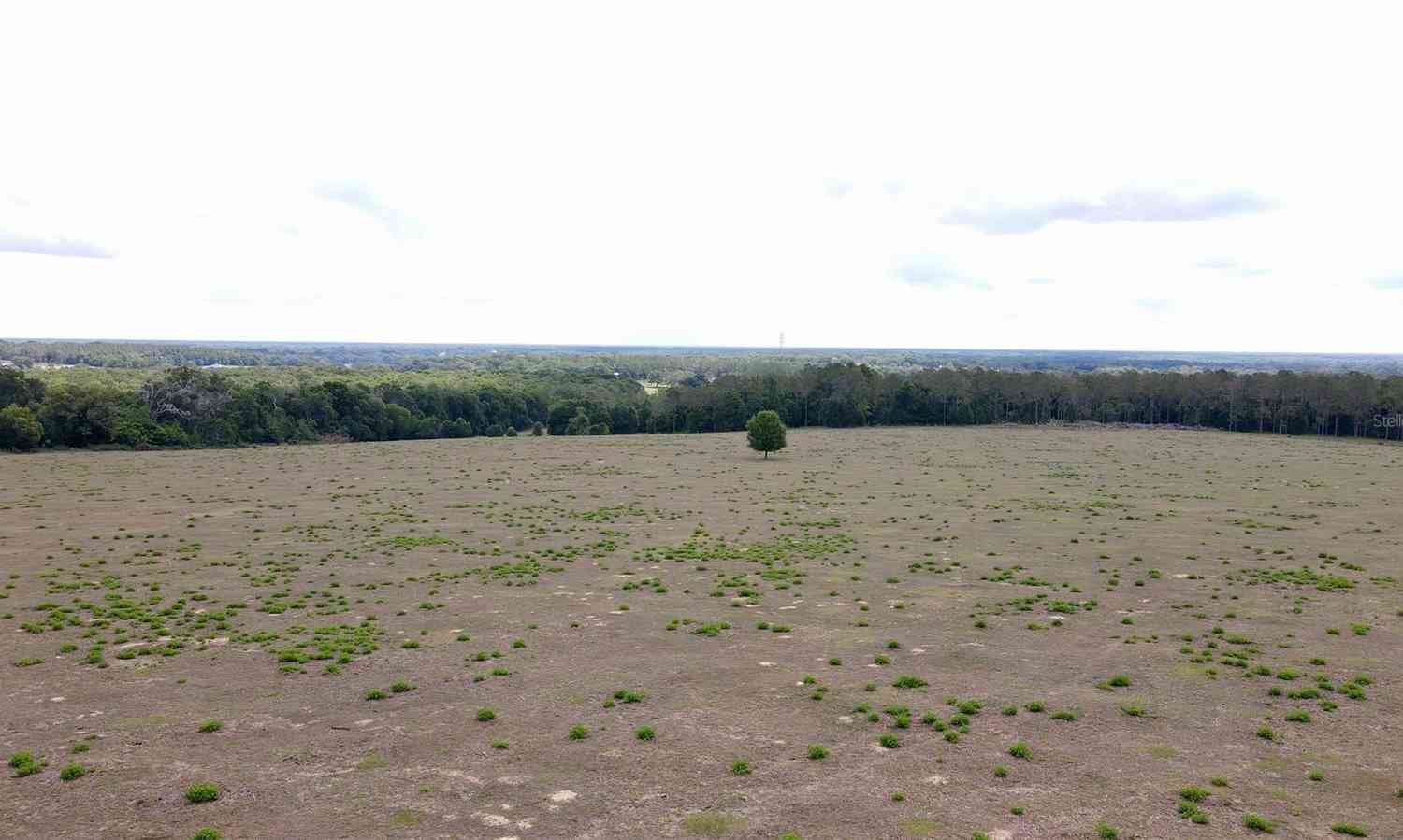 Parrish Grove Road, DADE CITY, Florida image 17