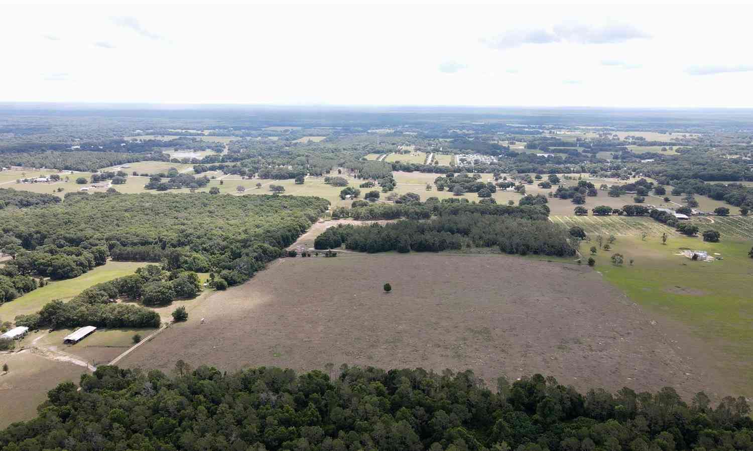 Parrish Grove Road, DADE CITY, Florida image 18