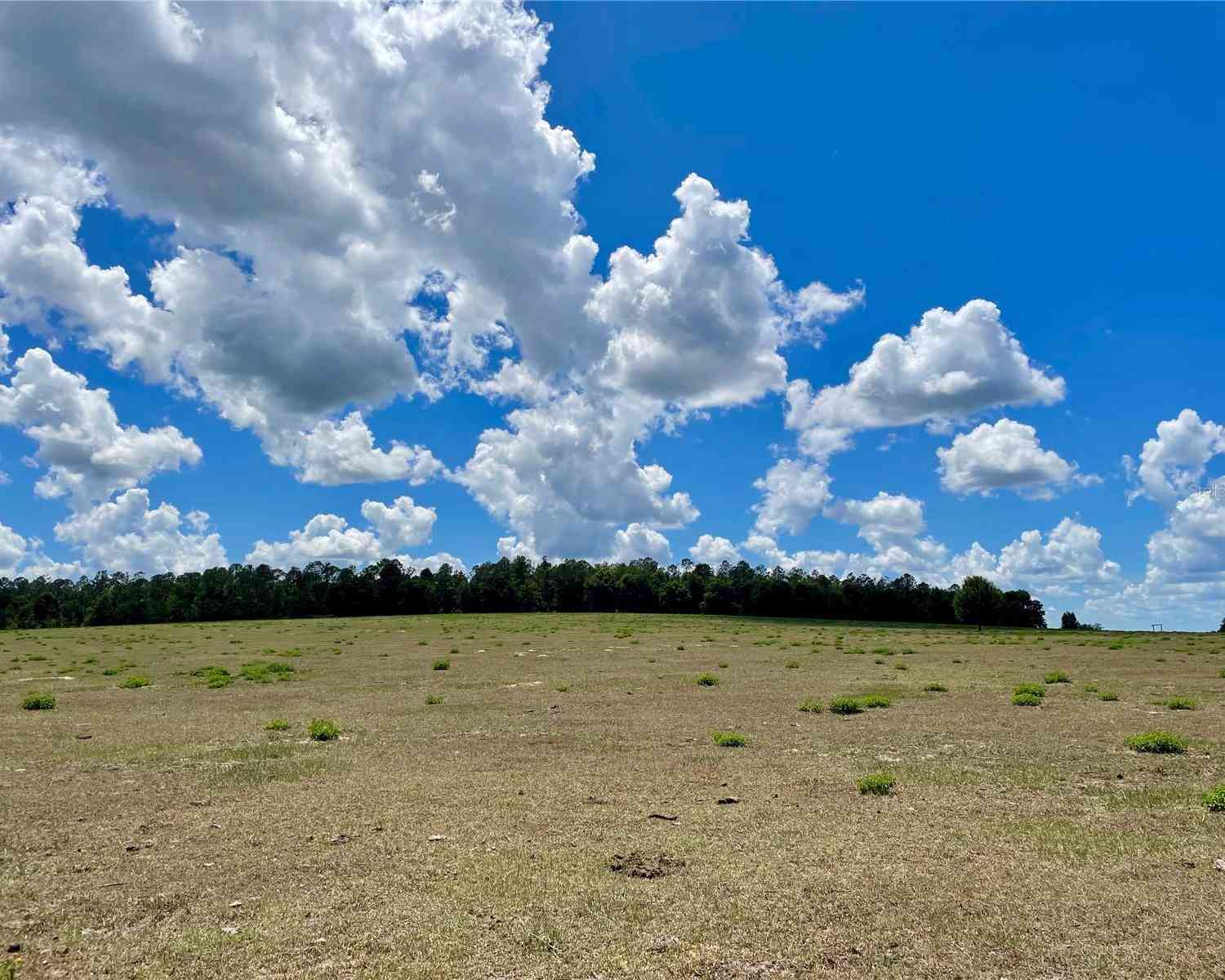 Parrish Grove Road, DADE CITY, Florida image 14