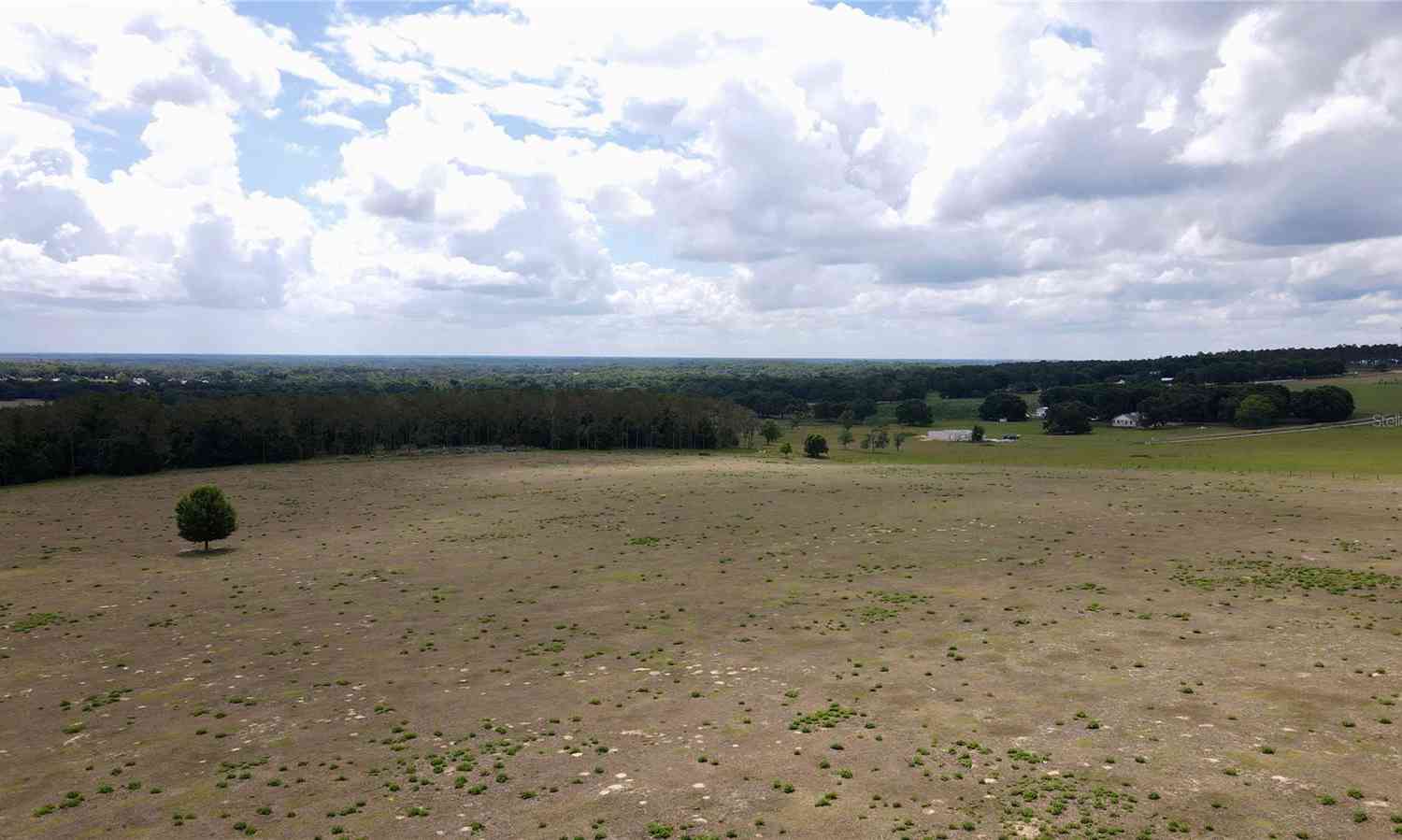 Parrish Grove Road, DADE CITY, Florida image 26