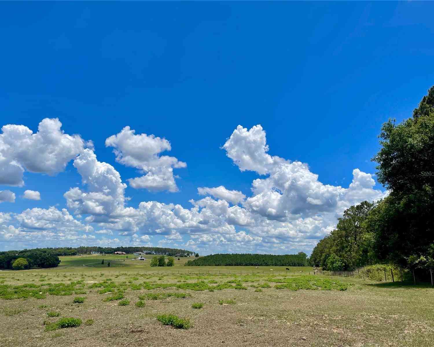 Parrish Grove Road, DADE CITY, Florida image 11