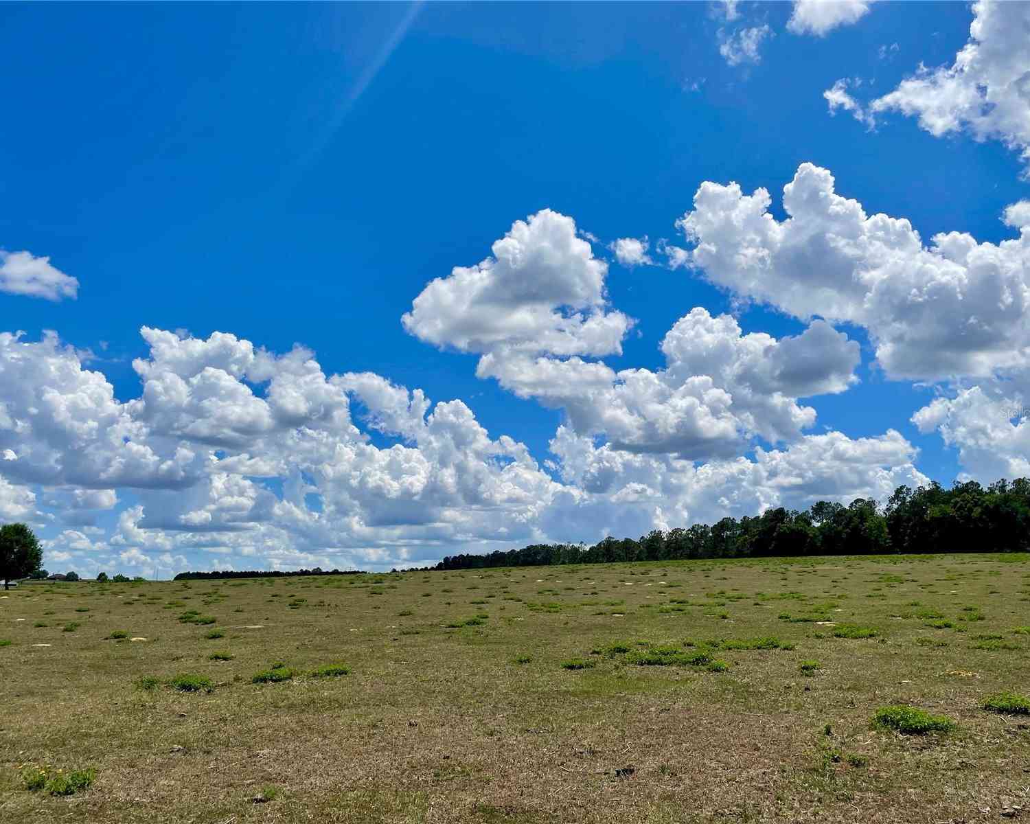 Parrish Grove Road, DADE CITY, Florida image 15