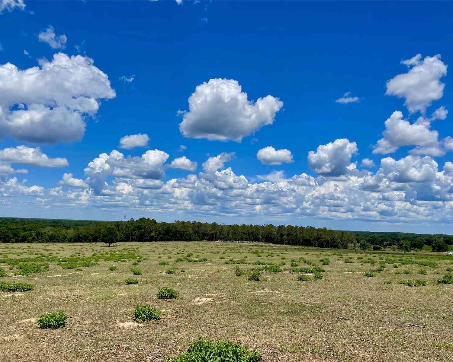 Parrish Grove Road, DADE CITY, Florida image 13