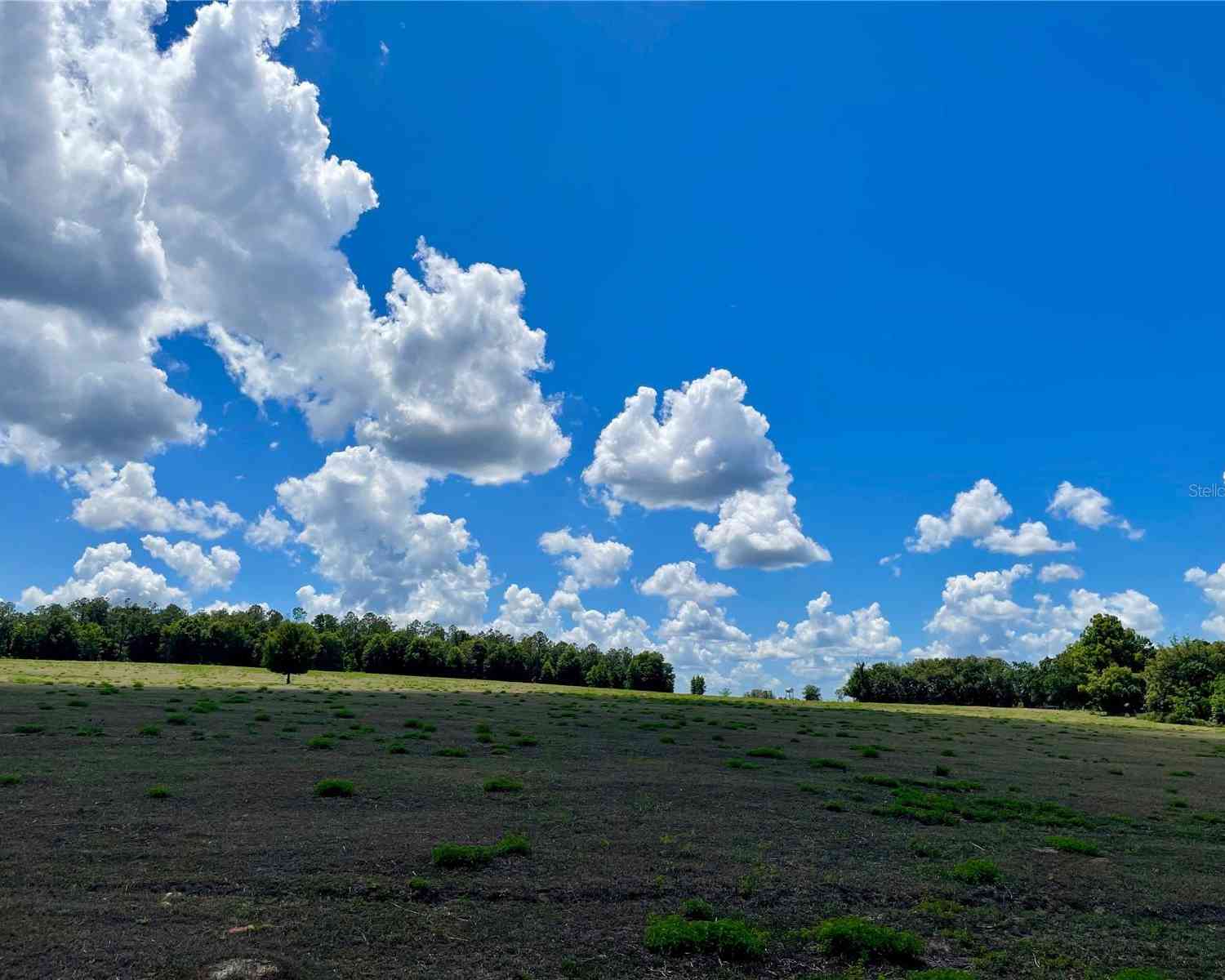 Parrish Grove Road, DADE CITY, Florida image 8