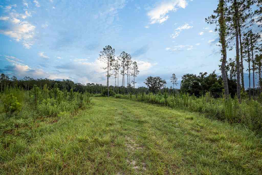 21400 NW Cr 235a, ALACHUA, Florida image 22