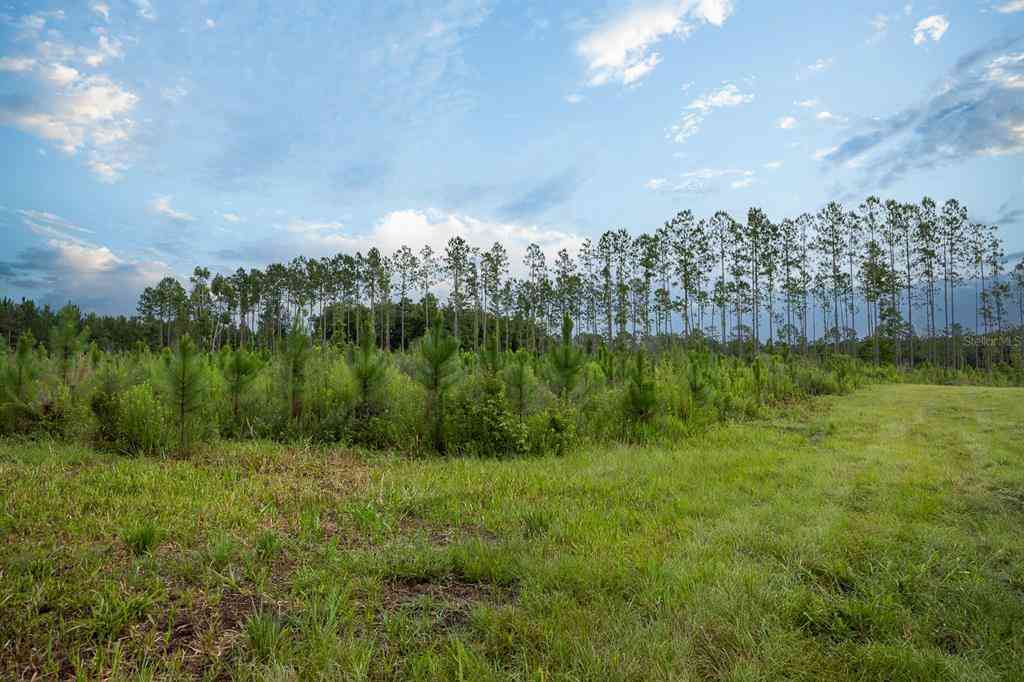 21400 NW Cr 235a, ALACHUA, Florida image 24