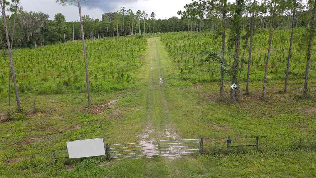 21400 NW Cr 235a, ALACHUA, Florida image 23