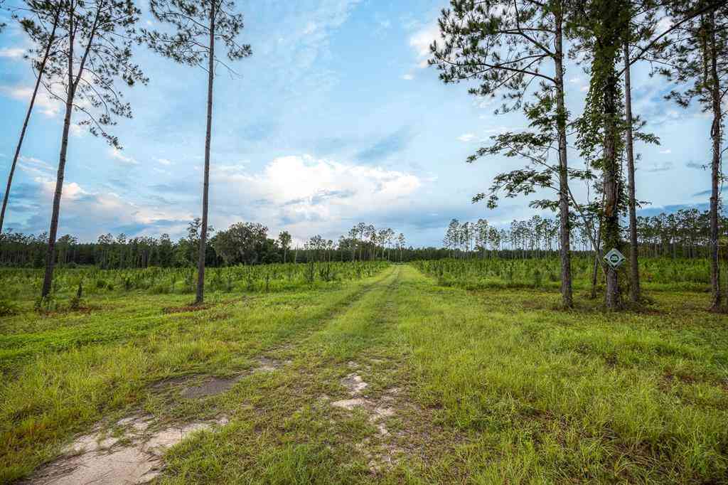 21400 NW Cr 235a, ALACHUA, Florida image 19