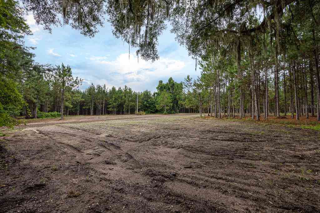 21400 NW Cr 235a, ALACHUA, Florida image 27