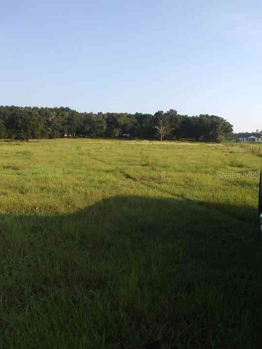 35140 County State Rd 52, DADE CITY, Florida image 4