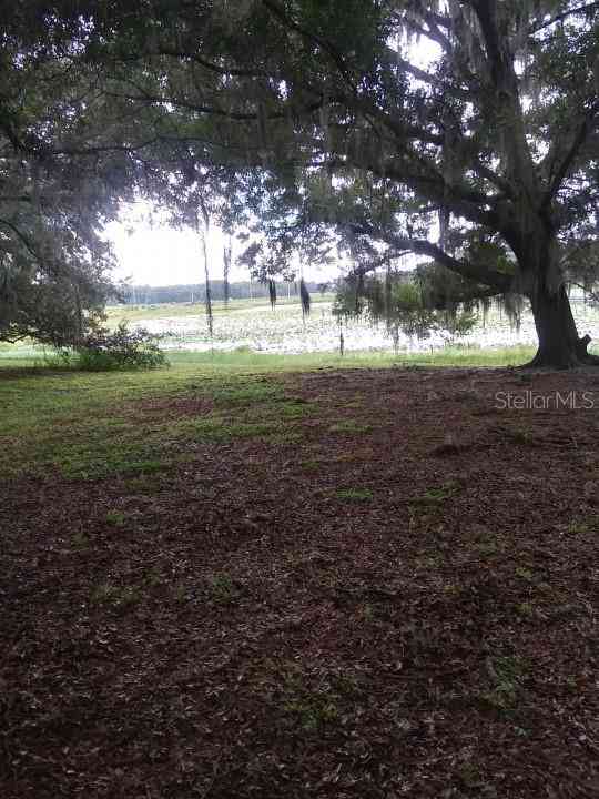 35140 County State Rd 52, DADE CITY, Florida image 11