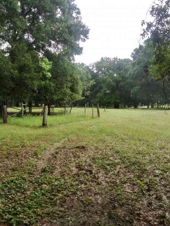 35140 County State Rd 52, DADE CITY, Florida image 9