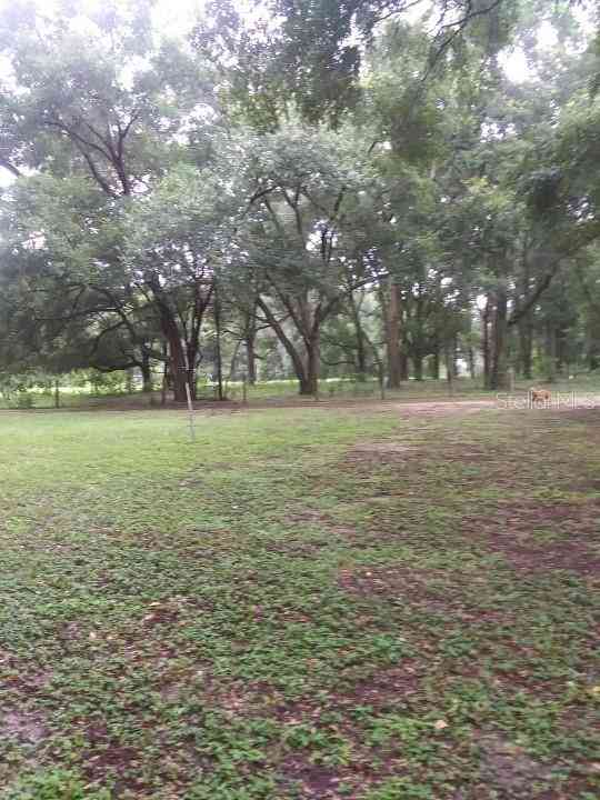 35140 County State Rd 52, DADE CITY, Florida image 12