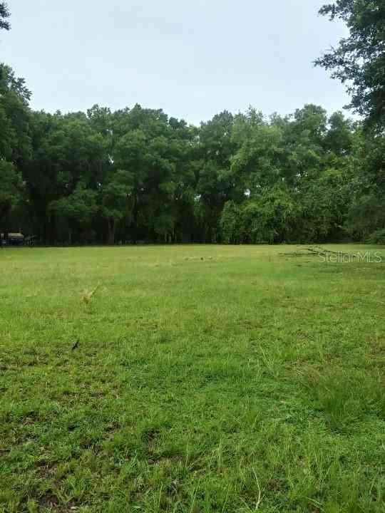 35140 County State Rd 52, DADE CITY, Florida image 14