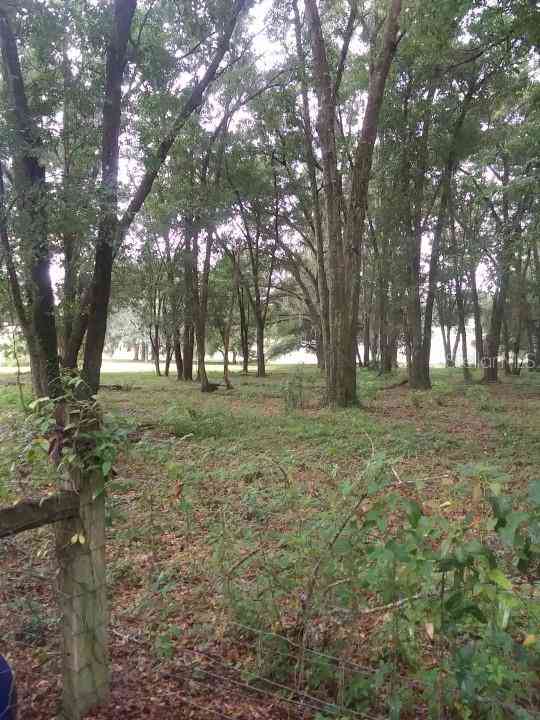 35140 County State Rd 52, DADE CITY, Florida image 6