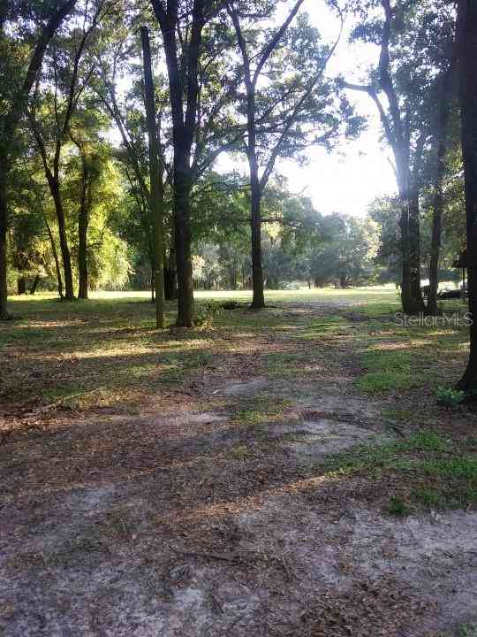 35140 County State Rd 52, DADE CITY, Florida image 3