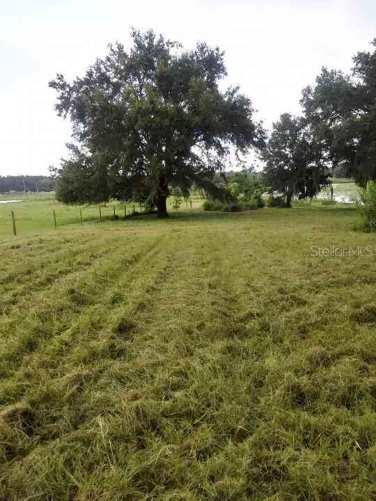 35140 County State Rd 52, DADE CITY, Florida image 13