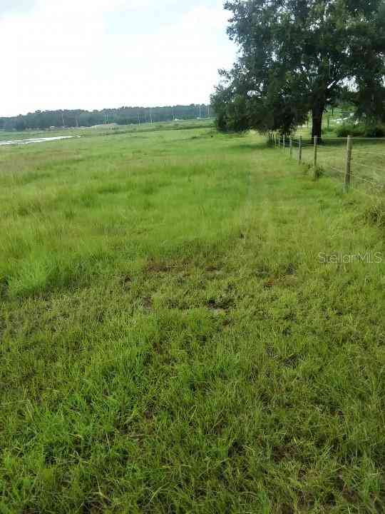 35140 County State Rd 52, DADE CITY, Florida image 10