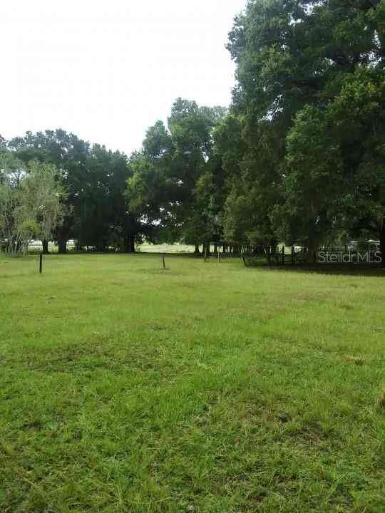35140 County State Rd 52, DADE CITY, Florida image 5