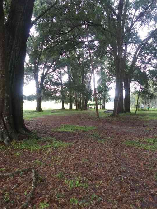 35140 County State Rd 52, DADE CITY, Florida image 15